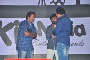 Krishna Gadi Veera Prema Gaadha Audio Launch